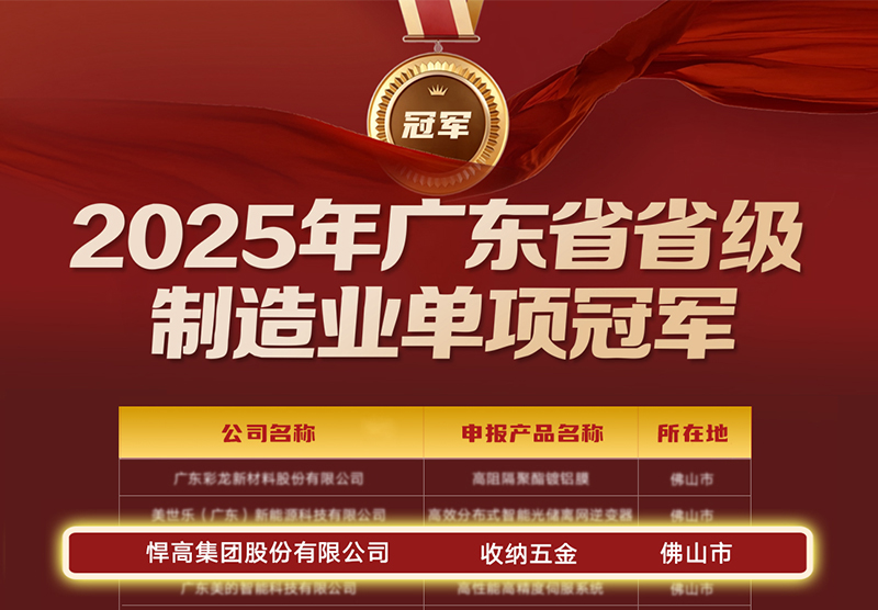 喜讯 | 星空体育荣膺广东省制造业单项冠军